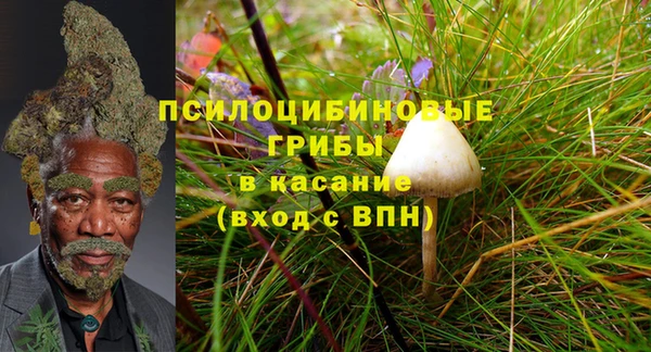 ешки Белокуриха