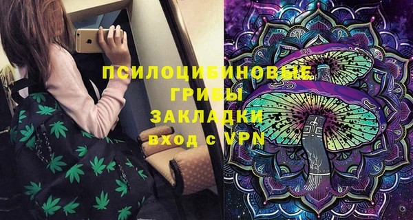 ешки Белокуриха