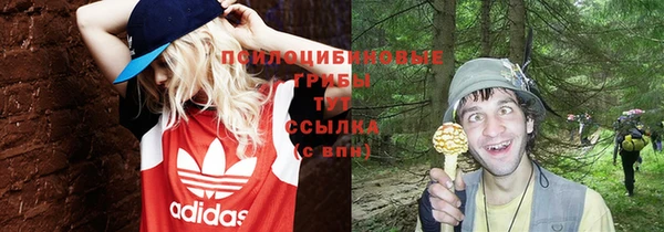 ешки Белоозёрский