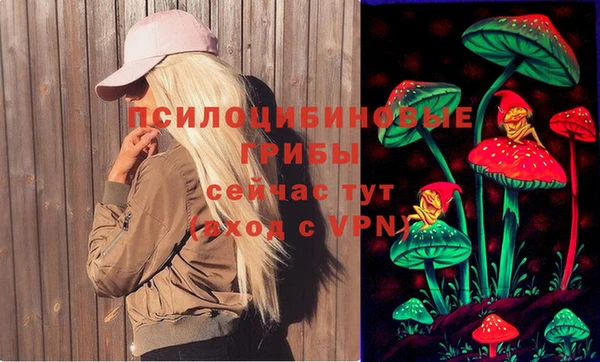 ешки Белокуриха
