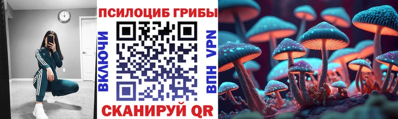 где купить наркоту  Карталы  Псилоцибиновые грибы Magic Shrooms 